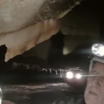 Cave of Forgotten Dreams