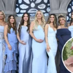 Inside Mormon Wives’s Meeting With Disney To Pause Production Amid ‘Dangerous’ Taylor Frankie Paul Scandal!