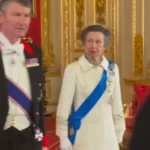 Princess Royal Rewears 50-Year-Old Gown to State Banquet, Championing Sustainable Royal Fashion