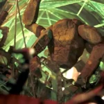 Project Hail Mary: Lord & Miller Deliver Modern Sci-Fi Perfection