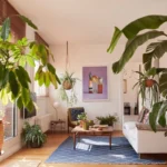 The Evolution of High-Design Short-Term Rentals in Barcelona A Curated Guide to the Citys Premier Accommodations