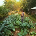 This Is a Gardening Show Official Trailer Released