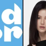 ADOR Legal Team Resigns Amid Ongoing 43.1 Billion KRW Damages Lawsuit Against Former NewJeans Member Danielle