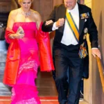 Queen Máxima of the Netherlands Attends Gala Dinner for the Diplomatic Corps in Natan Couture