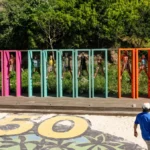 Survivor 50: Blood Moon Unleashes Unprecedented Triple Elimination and Emotional Farewell to a Legend