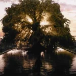 The Fountain: A Deep Dive into Darren Aronofsky’s Ambitious Sci-Fi Epic