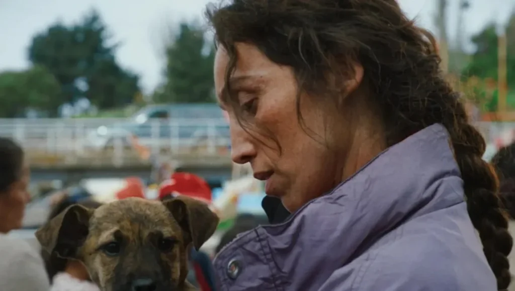 A Canine Double Triumph: Female Directors and Their Inspiring Dog Stars Dominate the Palm Dog Awards at Cannes