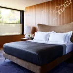 Best Mattresses-in-a-Box Reviewed: A Comprehensive Guide to the Top Sleep Investments for 2026.