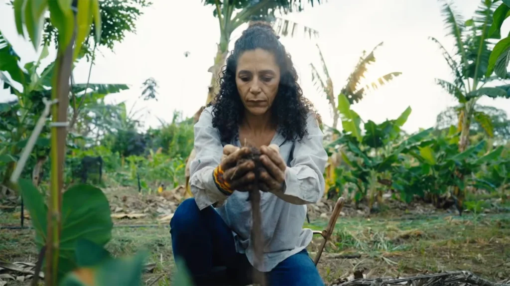 Groundswell: A Vision for Planetary Renewal Through Regenerative Agriculture