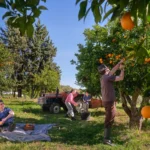 Jeremiah Brent and Nate Berkus Craft a Bucolic Homestead for Their Family in Rural Portugal