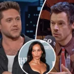 Niall Horan Sparks New One Direction Feud Rumors as He Reveals He’s NOT Going to Harry Styles’ Wedding