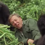 Sir David Attenborough: A Seven-Decade Legacy of Natural Wonders and Conservation Advocacy