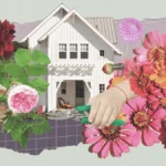 The Essential Guide to Summer Horticulture: Cultivating a Vibrant and Sustainable Seasonal Garden
