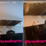 Trace Cyrus Accuses Sister Brandi Cyrus of Renting "Mold-Infested" Home, Escalating Long-Running Family Tensions