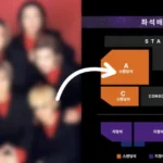 Legendary Boy Group’s Concert Seating Sparks Massive Backlash