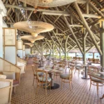 T LOunge for July 10th 2026