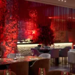 T LOunge for July 23rd 2026