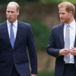 Prince Harry Got Advance Access to Charles Spencer Memoir While Prince William Was Left in the Dark