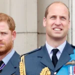 Could Prince Harry and Meghan Markle Reunite with Prince William and Kate Middleton for the Sake of Their Children