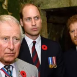King Charles will meet Prince Harry and Meghan Markle before Christmas, but Prince William won’t, per source