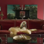 ‘Prince’ Is a Stylized Cinematic Battle Royal With a Show Dog, His Owner, Her Butler and Their Family